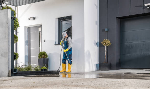 Best Graffiti Removal Services in Carrollton, AL